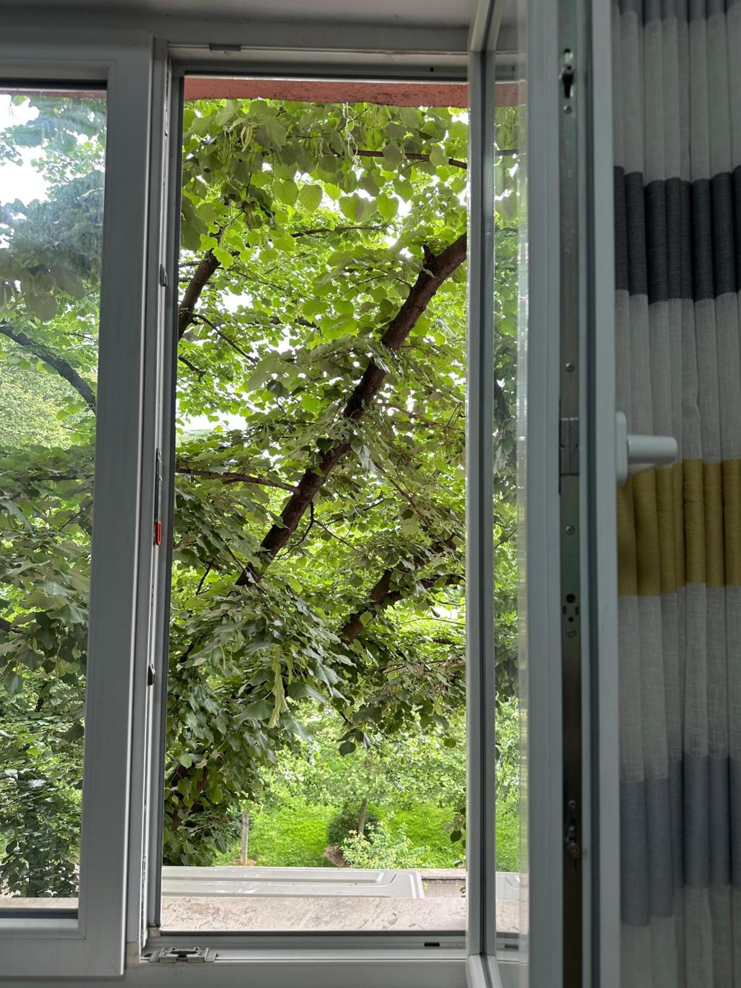 Kelly'S Cozy Hideaway - Central Tiranë Ngoại thất bức ảnh